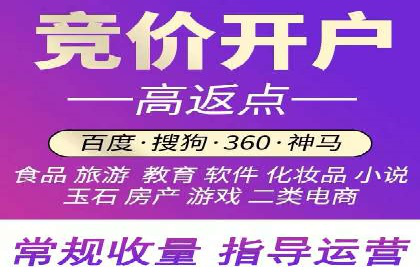 百度SEO推广策略案例：一家公司的成功转型之路